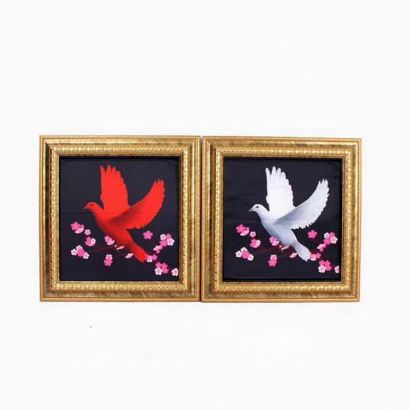 Deluxe Dove Frame Magic Tricks - Photography Trick recension och pris